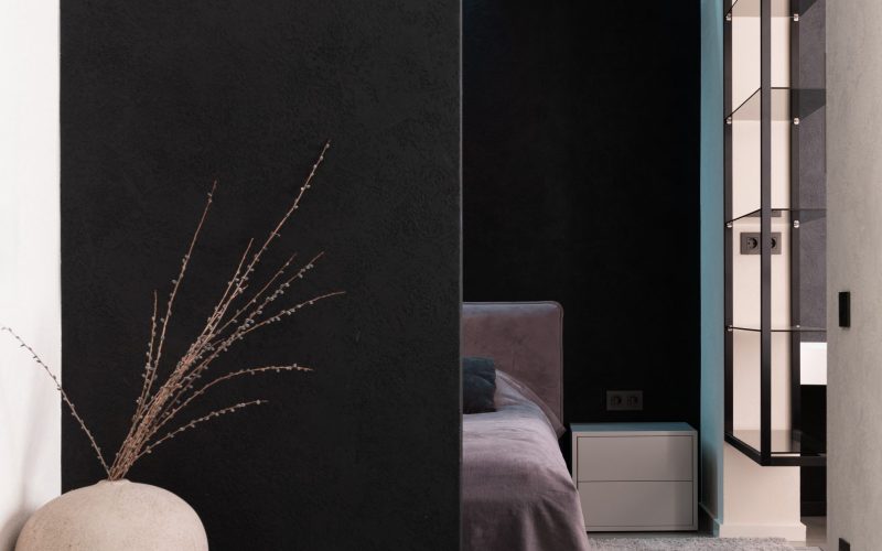 pexels-max-vakhtbovych-6316066